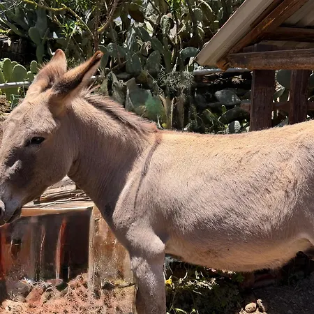 El Refugio De Vegas ロッジ