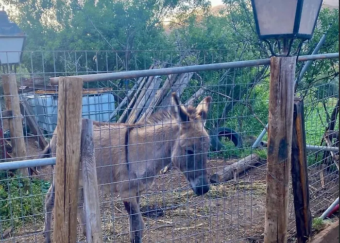 El Refugio De Vegas *